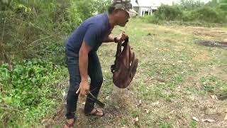 Download lagu cara mudah menjebak burung kolibri dan burcil lainnya mp3