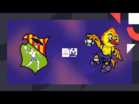 RESUMEN J11 Liga NEXUS ENERGIA ASOBAL FRAIKIN BK, GRANOLLERS vs TUBOS ARANDA VDA