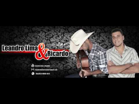 Bebo E Choro - Leandro Lima e Ricardo