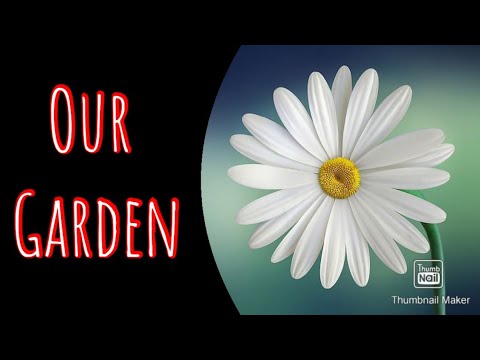 Our plants || Yashshree Yelmule