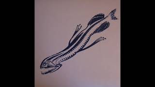 aaron dilloway and c. spencer yeh - the squid