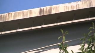 strage-del-bus-una-trappola-mortale-lanciata-a-100km-orari