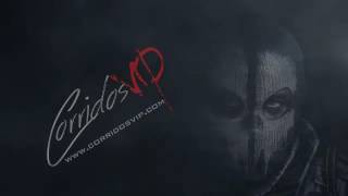 Alta Consigna - David de los Acme