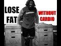 Best Way to Lose Weight (High Intensity Bodyweight Routine)