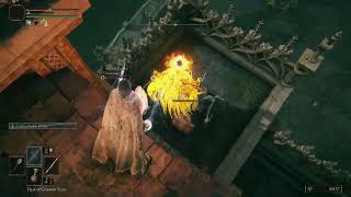 ELDEN RING - Crazy Hands