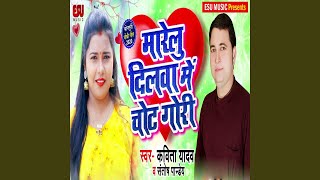 Marelu Dilwa Me Chot Gori song artwork