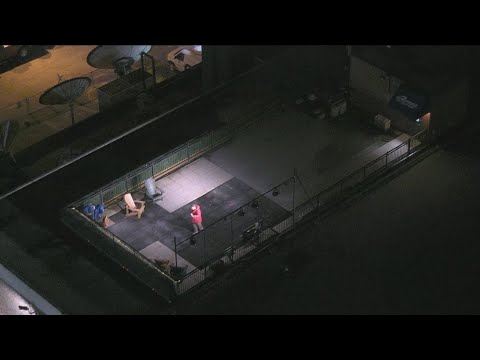 Dancing into Tuesday with Patrick Hammer