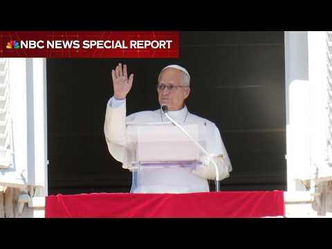 Special report: Vatican says Pope Leo diagnosed with lung cancer after surgery