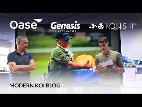 Modern Koi Blog #5399 - What to consider when using rearing ponds in bypass mode