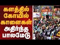 Palamedu Jallikattu களத்தில் கோயில் காளைகள் அதிர�