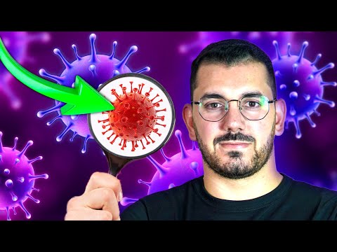 Learn the MAIN Diseases caused by Viruses