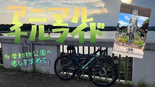 アニマルチルライド　多摩動物公園へ癒しを求めて