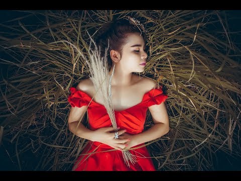 Tình yêu (Kuchinashi no hana -くちなしの花) - Ngọc Lan