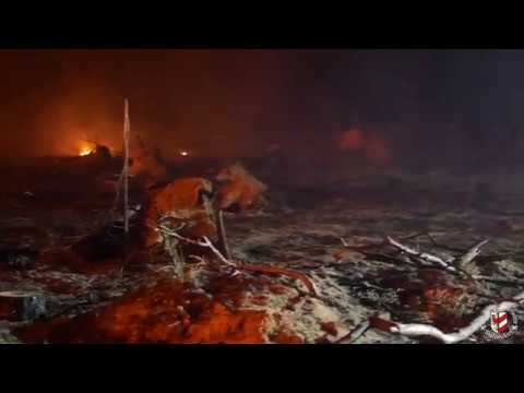 Waldbrand in Sachsen-Anhalt