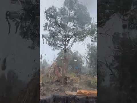 Exploring the Dynamics of Monsoon Season