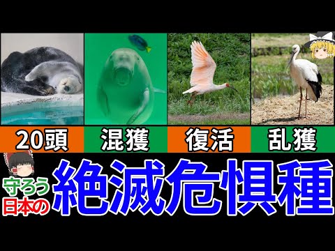 オーストラリアの絶滅危惧種のリスト - 定義
