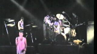 Daughters Of The Northern Coast, Australian Crawl , Selinas 1986