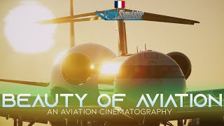 Paris is not only CDG Airport | BEAUTY OF FLIGHT SIMULATOR