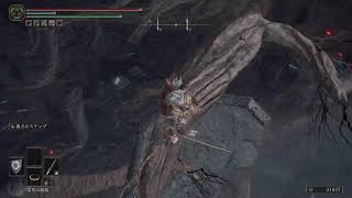 初見でELDENRINGやるよーその46