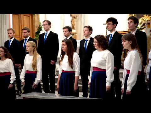 Daniel Elder - Ave Maria