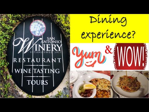 Parte 2 - Vinícola San Antonio Los Angeles I Experiência gastronômica e loja de vinhos