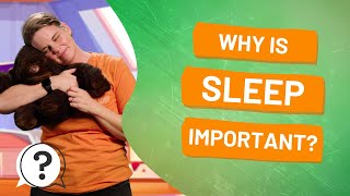 Why is sleep important? | But Why Bites