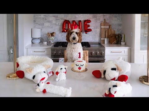 How Lamb Chop Became America's Hottest Dog Toy