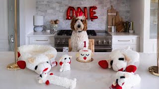 How Lamb Chop Became America's Hottest Dog Toy
