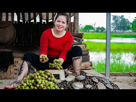 Harvest Natural Snails Going to the Market for Sale - Farm Care Process and Farm Expansion in 2023