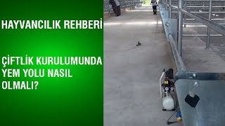 Hayvancılık Rehberi - Çiftlik Kurulumunda Yem Yolu Nasıl Olmalı?