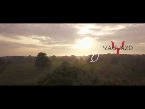 Queso y Melao - YAGUAZO (Video oficial) 4K