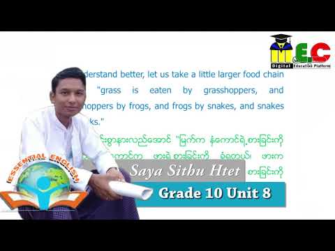 Grade 10 English Unit 8