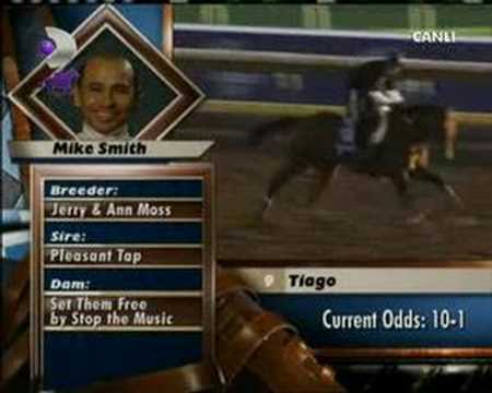 2007 Breeders Cup Classic CURLIN