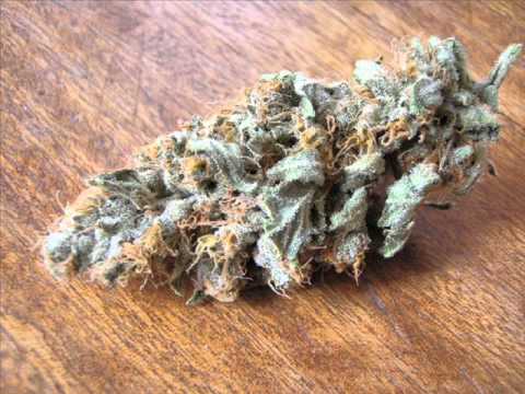 JL - Cada dos noches