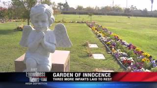 Garden of Innocence to bury more abandoned babies - Channel 23 (11-20-13)