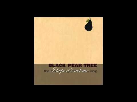 The Mountain Goats & Kaki King - Black Pear Tree