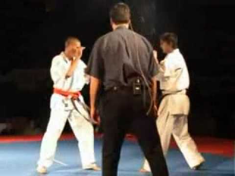 Kyokushin Karate Hungarian Open 2006 Szolnok - Magna Gergő vs Marius Ilas