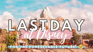 Last day at Disney 2020 (for the foreseeable future) // Animal Kingdom Vlog