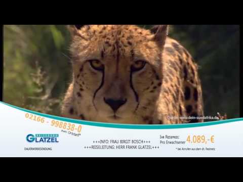 CityVision-Reisetipp: Abenteuerreise Südafrika