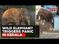 Wild Tuskers Trigger Panic In Kerala's Mananthavady Town, Prohibitory Order Issued | Top News