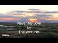 The Ventures - Never My Love