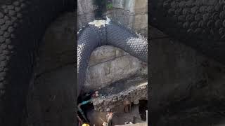 Download lagu Patung Ular Naga Terbesar Berkepala Lima#shorts mp3