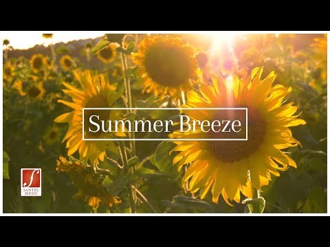 Summer Breeze  | 1,5 hours of Light Classical Melodies | Music & Full-HD Video | Santec Music