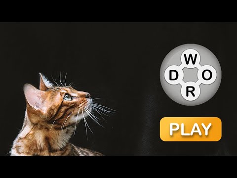 Quest Words: Word Connect