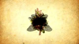 Nico Muhly - Mothertongue- I. Archive - Abigail Fischer. Visuals by Glenn McQuaid.