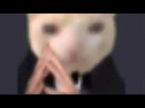 earn my stripes 300 track