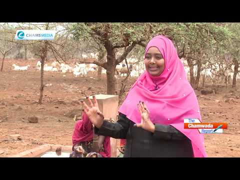 The Chamwada Report: Addressing Water Scarcity  in Kenya's Arid & Semi Arid Lands ASALs