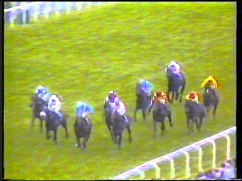 1989 - Ascot - Diadem Stakes - Chummy's Favourite
