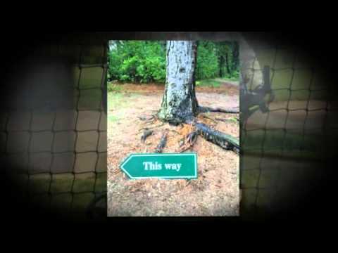 ST8TS TopGolf Holland Tour 2014 Spandersbosch