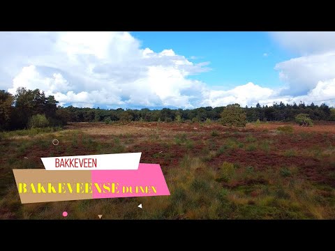 BAKKEVEEN - BAKKEVEENSE DUINEN - A beautiful Nature Reserve in The Netherlands
